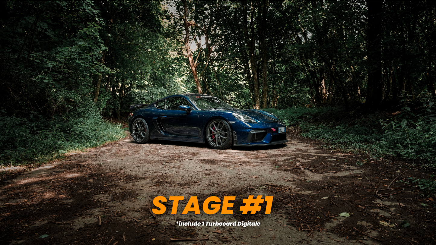 Turbo Card Digitali by Danny Lazzarin | Concorso PORSCHE CAYMAN GT4