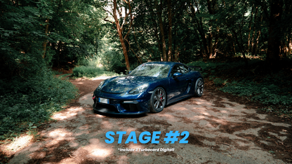Turbo Card Digitali by Danny Lazzarin | Concorso PORSCHE CAYMAN GT4