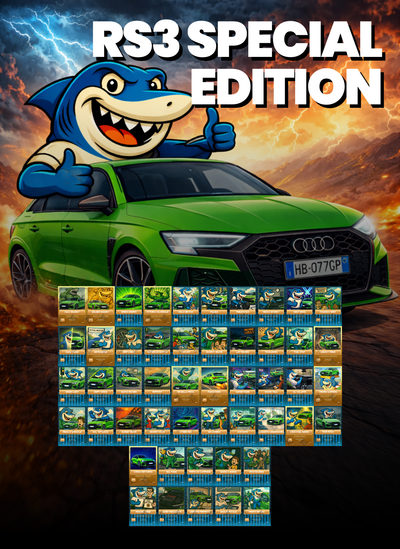 AUDI RS3 Special Edition